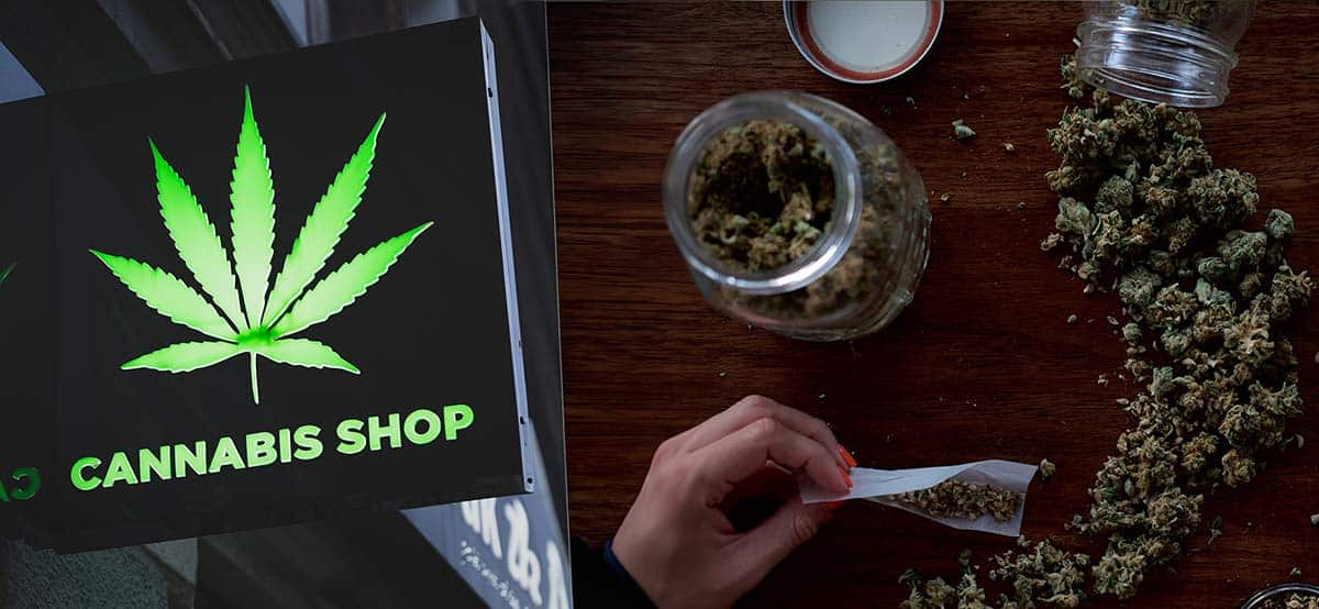 Comprar semillas de cannabis - ¿Cómo, dónde y qué variedades?