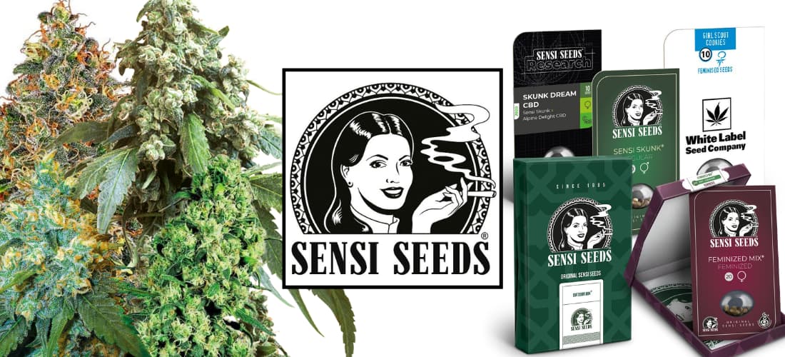The most popular strains from the Sensi Seeds seed bank