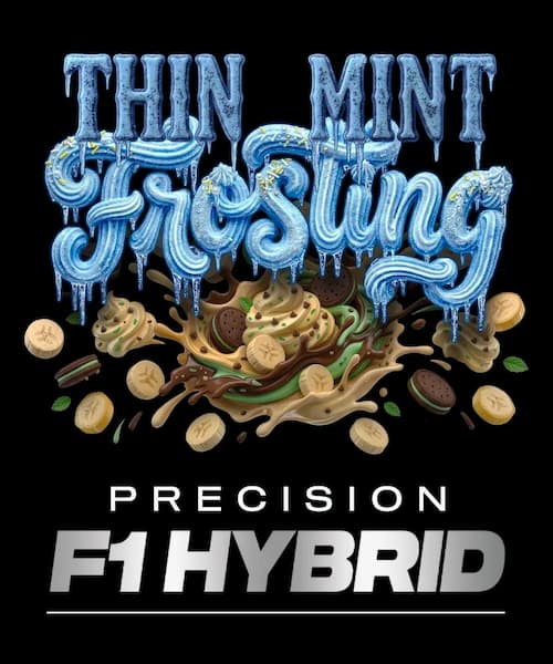 Thin Mint Frosting Samen > Barneys farm | Feminisierte Hanfsamen  |  Indica