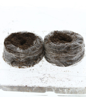 Jiffy peat swell pot 41 mm > Jiffy | Grow-Shop for successful cultivation  |  Seeding and accessories