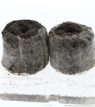 Jiffy peat swell pot 41 mm > Jiffy | Grow-Shop for successful cultivation  |  Seeding and accessories