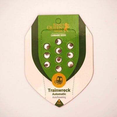 Trainwreck Auto > Royal Queen Seeds | Autoflowering Hanfsamen  |  Sativa