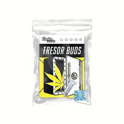 Tresor Buds Samen > Linda Seeds | Feminisierte Hanfsamen  |  Hybrid