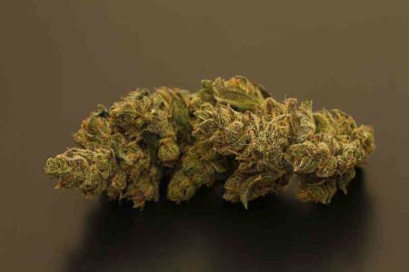 Triple Cheese > Barney\'s Farm | Feminized Marijuana   |  Indica