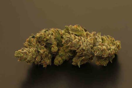 Triple Cheese > Barney\'s Farm | Graines Féminisées  |  Indica