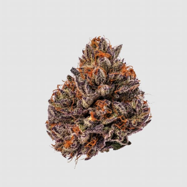 Tropicana Cherry Triploid F1 Seed > Growers Choice | Feminized Cannabis   |  Hybrid
