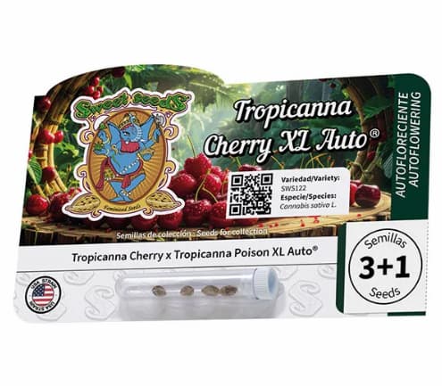 Tropicanna Cherry XL Auto Seed > Sweet Seeds | Autoflowering Cannabis   |  Hybrid
