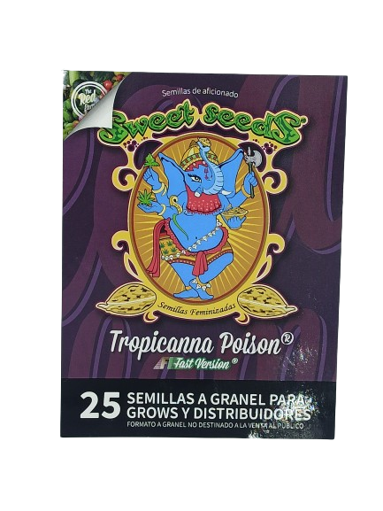 Tropicanna Poison F1 Fast Version > Sweet Seeds | Semillas feminizadas  |  Índica