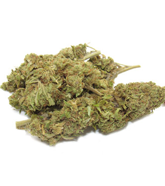 Turron Haze cogollos CBD > hierba CBD | Productos de CBD