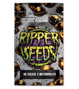 UK Cheese x Motorbreath > Ripper Seeds | Graines Féminisées  |  Indica