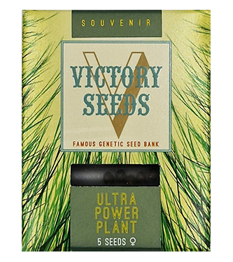 Ultra Power Plant > Victory Seeds | Graines Féminisées  |  Indica