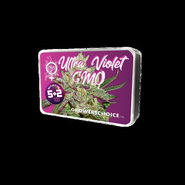 Ultra Violet GMO Seed > Growers Choice | Feminized Cannabis   |  Indica