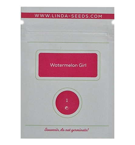 Watermelon Girl > Linda Seeds | Feminisierte Hanfsamen  |  Indica