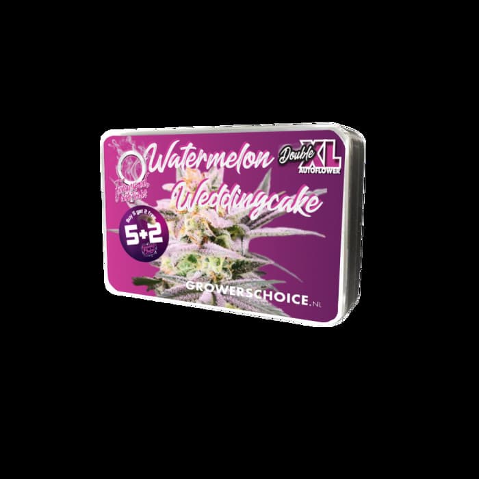 Watermelon Weddingcake XXL Auto Samen > Growers Choice | Autoflowering Hanfsamen  |  Sativa