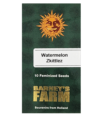 Watermelon Zkittlez > Barneys Farm | Feminisierte Hanfsamen  |  Hybrid