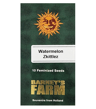 Watermelon Zkittlez > Barneys Farm | Graines Féminisées  |  Hybride