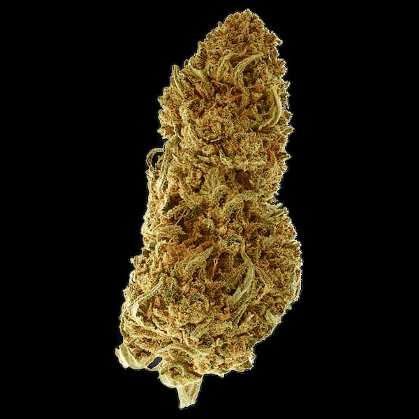 Wedding Cake CBD > Goodies | CBD Flowers