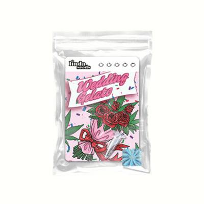 Wedding Gelato Samen > Linda Seeds | Hanfsamen Empfehlungen  |  Günstige Hanfsamen