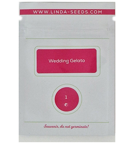 Wedding Gelato > Linda Seeds | Hanfsamen Empfehlungen  |  Günstige Hanfsamen
