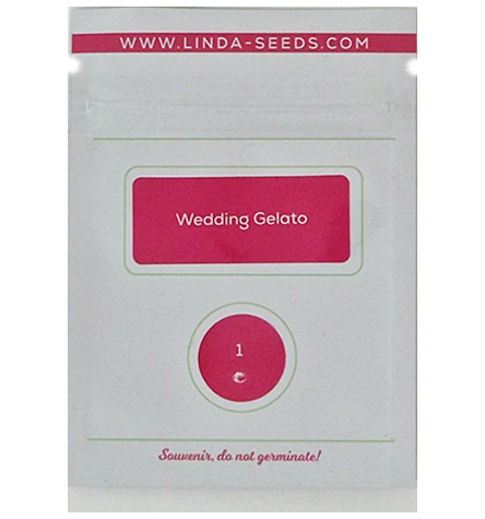 Wedding Gelato > Linda Seeds | NUESTRAS RECOMENDACIONES DE SEMILLAS DE MARIHUANA  |  Semillas Baratas