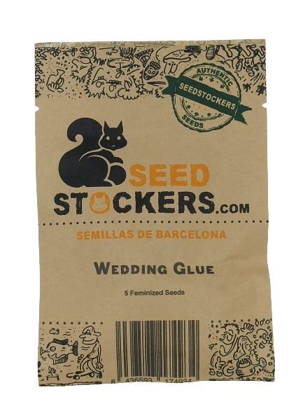 Wedding Glue > Seed Stockers | Feminisierte Hanfsamen  |  Hybrid
