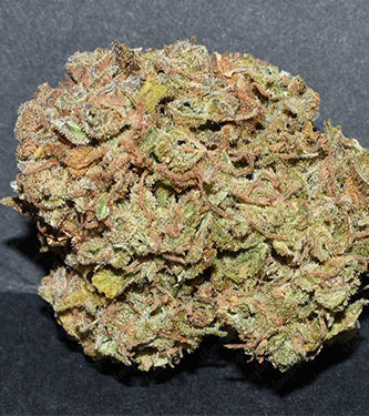 Coast O.G. strain > Fast Buds Company ▷ THC > 20%