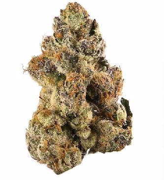 White Gelato > Bulk Seeds | Feminized Marijuana   |  hybrid