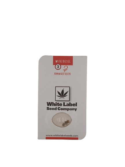 White Diesel > White Label Seeds | Feminisierte Hanfsamen  |  Hybrid