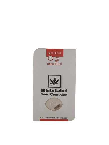 White Diesel > White Label Seeds | Semillas feminizadas  |  Híbrido