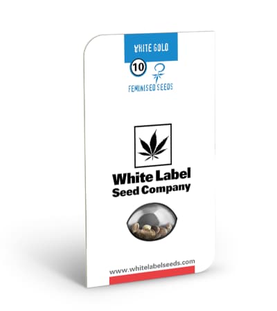 White Gold > White Label Seeds | Feminized Marijuana   |  hybrid