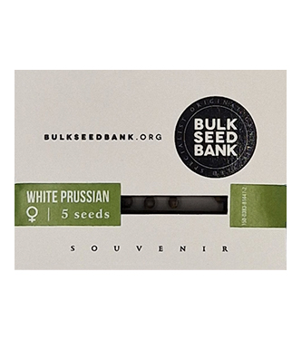 White Prussian > Bulk Seed Bank | Feminized Marijuana   |  Indica
