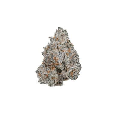White Truffle semilla > Linda Seeds | Semillas feminizadas  |  Sativa