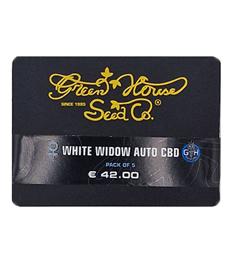 White Widow Automatic CBD > Green House Seed Company | Semillas autoflorecientes  |  Híbrido