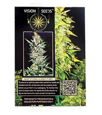 White Widow Auto > Vision Seeds | Graines Autofloraison  |  Indica