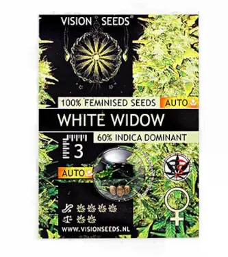 White Widow Auto > Vision Seeds | Autoflowering Cannabis   |  Indica