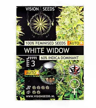 White Widow Auto > Vision Seeds | Autoflowering Hanfsamen  |  Indica