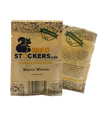 White Widow > Seed Stockers | Semillas feminizadas  |  Indica