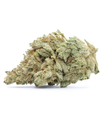 White Widow > Bulk Seed Bank | Feminized Marijuana   |  hybrid