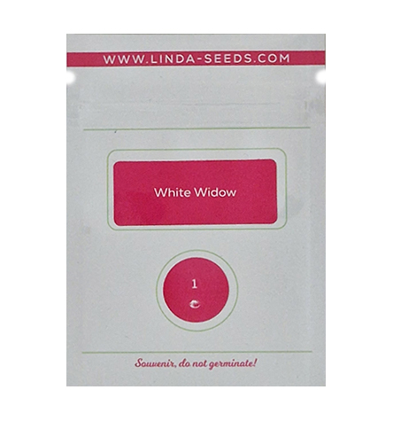 White Widow > Linda Seeds | NOS RECOMMANDATIONS DE GRAINES DE CANNABIS  |  Graines de Cannabis à prix bas