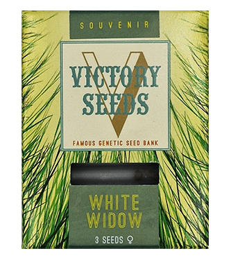 White Widow > Victory Seeds | Feminisierte Hanfsamen  |  Indica