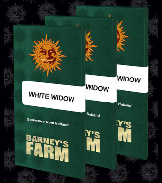 White Widow XXL > Barneys Farm | Graines Féminisées  |  Indica