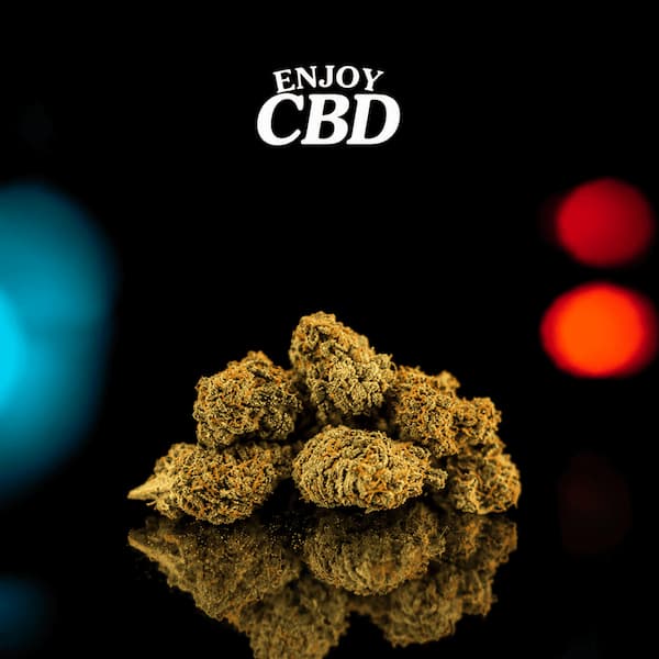 White Wings > Enjoy CBD | CBD Blüten