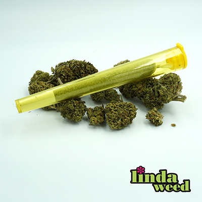 Porro Preliado CBD > Linda Weed | Flores de CBD