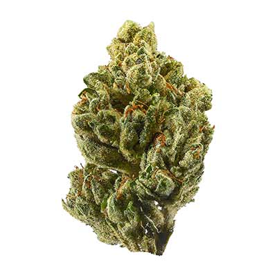 Z-Up Auto > Fast Buds Seeds | Semillas de marihuana autoflorecientes  |  Sativa