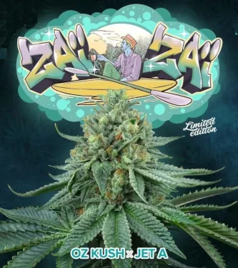 Zai Zai > Perfect Tree | Feminized Marijuana   |  hybrid