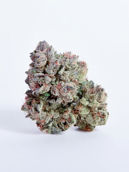 Zitala Seed > Bask Triangle Farms | Feminized Cannabis   |  Indica