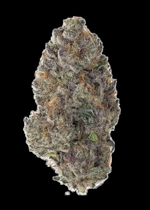 Ztrawberry Soup Samen > Bask Triangle Farms | Reguläre Hanfsamen  |  Indica