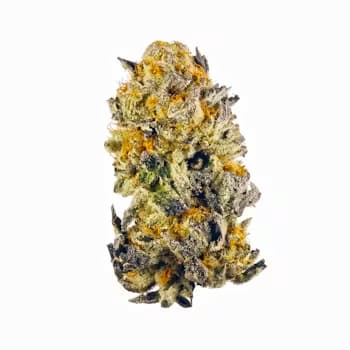 Zunami Peach Samen > 00 Seeds | Feminisierte Hanfsamen  |  Indica