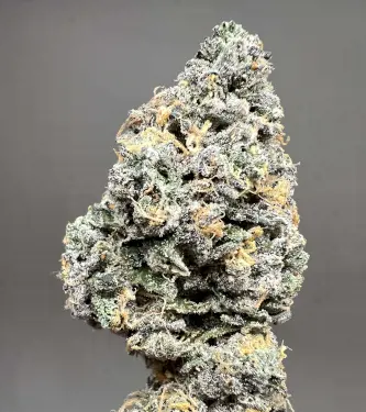 Apple Bananas 5