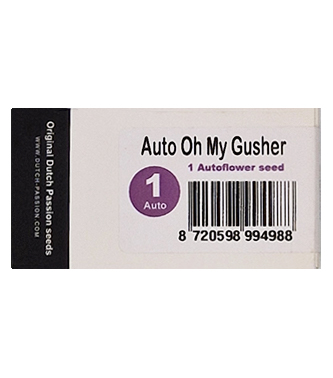 Oh My Gusher 4